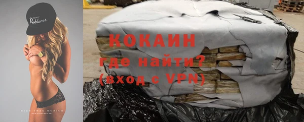 шишки Наволоки