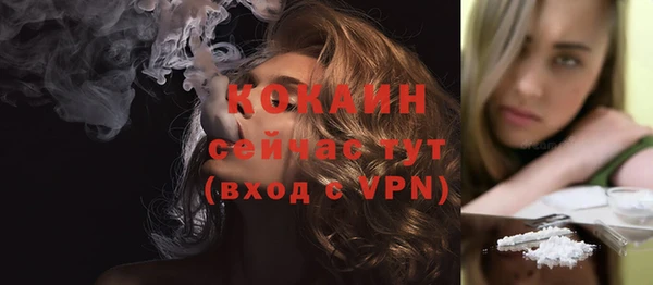 шишки Наволоки