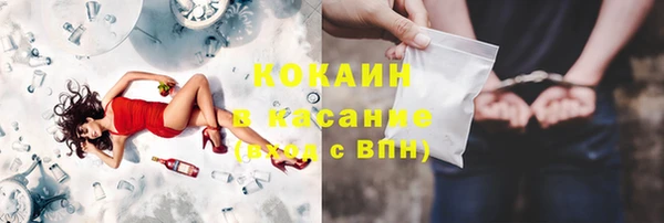 шишки Наволоки