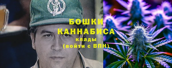 шишки Наволоки
