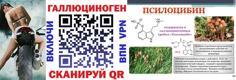 где продают   blacksprut рабочий сайт  Галлюциногенные грибы Magic Shrooms  Реутов 